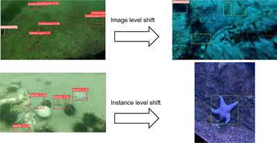 See you somewhere in the ocean: few-shot domain adaptive underwater object detection